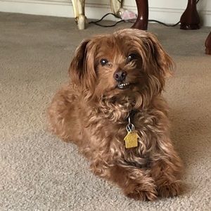 Meet your Posher, Corine